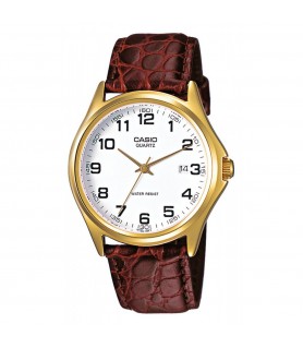 Casio Herrenuhr...